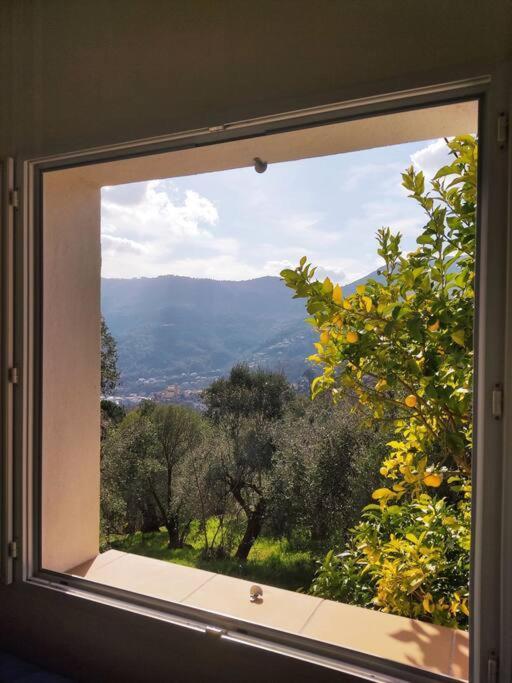 Bas De Villa. Cote D'Azur, A 20 Kms De Nice Contes  Buitenkant foto